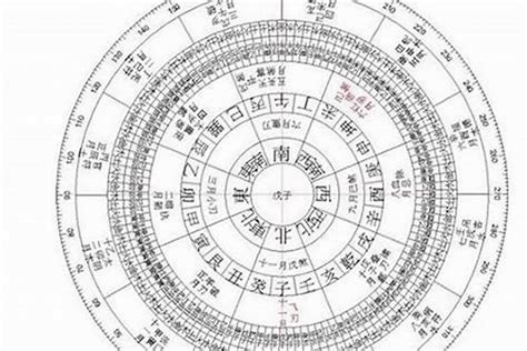 天公子的八字命格|免費線上八字計算機｜八字重量查詢、五行八字算